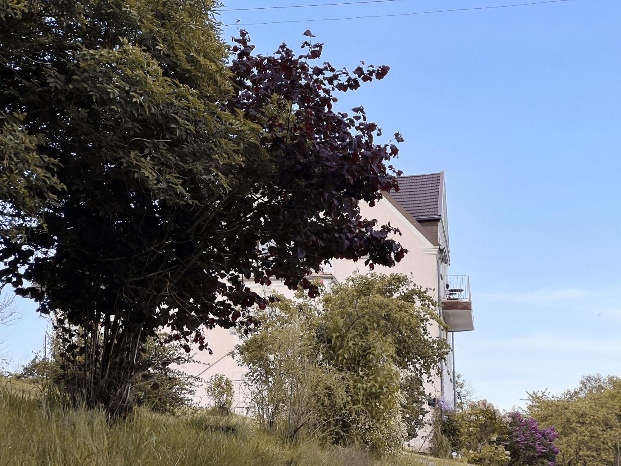 Villa Ueberblick Nalbach Dış mekan fotoğraf