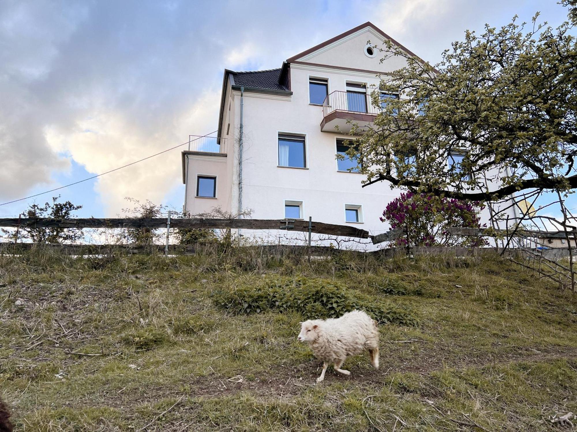 Villa Ueberblick Nalbach Dış mekan fotoğraf