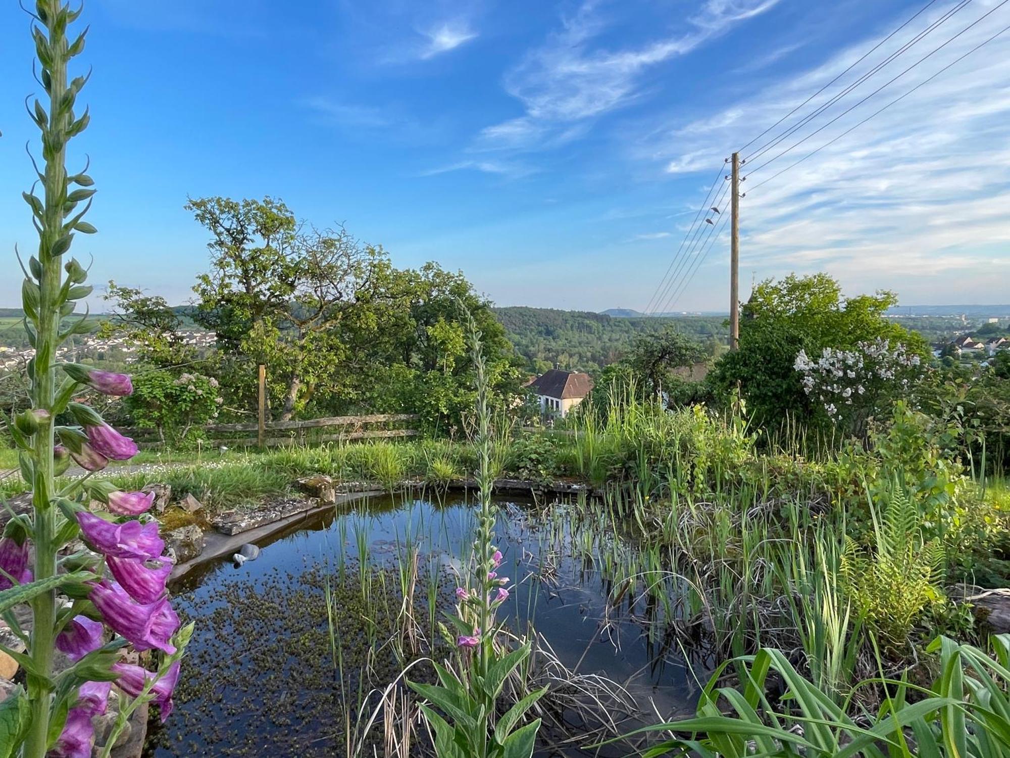 Villa Ueberblick Nalbach Dış mekan fotoğraf